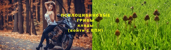 стафф Волосово